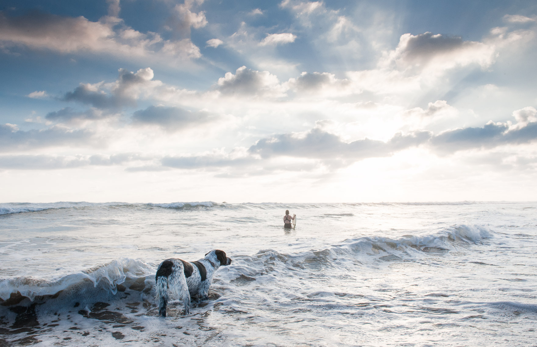 Kevin Steele - A dog looks out toward a woman in the surf